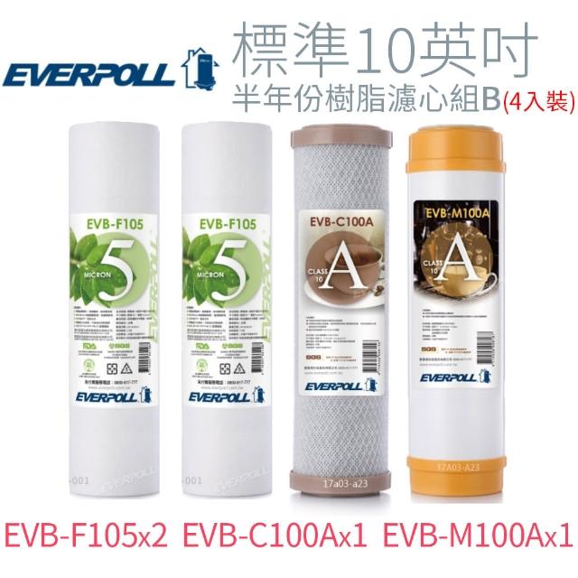 【EVERPOLL 愛惠浦科技】標準10英吋 半年份樹脂濾心組B(4入)