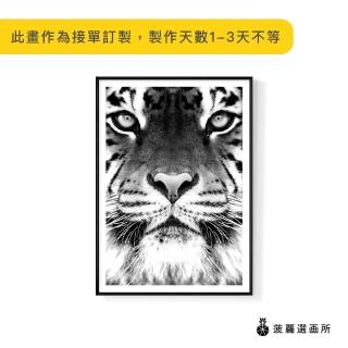 【菠蘿選畫所】獨行獵者-老虎-42x60cm(北歐/畫/客廳掛畫/沙發背景/藝廊牆/民宿/飯店/酒店掛畫)