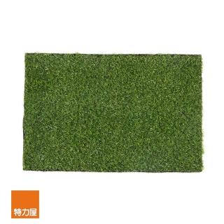 【特力屋】38x58cm-2入草皮