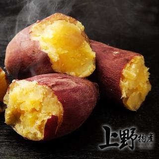 【上野物產】任選 日光栗香地瓜 x1包(1000g土10%/包 地瓜 素食 低卡)