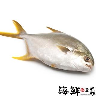 【海鮮主義】年節必備金鯧魚2隻組(500g±10%/隻)