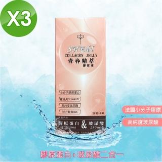 【必爾思】SHEdd 水噹噹青春精粹膠原凍 - 3盒組 膠原QQ凍 膠原蛋白+玻尿酸二合一(20克X21條)