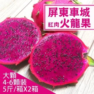 【產地直送】屏東車城紅肉火龍果5斤X2箱(5-6顆/箱)