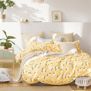 【情定巴黎】馬德先生 40支100%棉兩用被床包組1+1超值組-一般/獨立筒皆適用(特大)