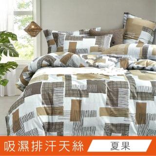 【Indian】天絲抗菌吸濕排汗雙人加大兩用被床包四件組-夏果(專利天絲吸濕排汗)