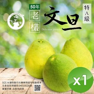 【預購 水果爸爸FruitPaPa-中秋禮盒】葫蘆墩50年老欉特A級柚子文旦禮盒(10斤/箱x1箱)
