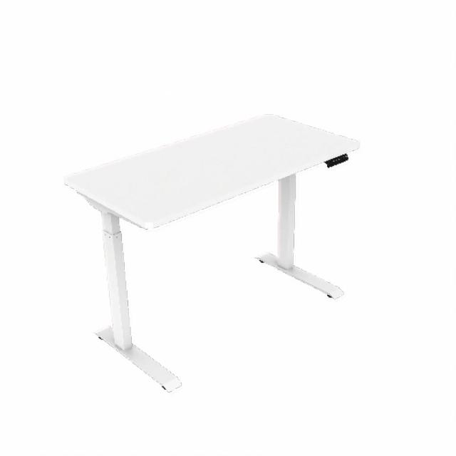 【樂歌Loctek】ET119 二節式電動升降桌 120*60 四段記憶(免費安裝/書桌/工作桌/居家辦公桌/電腦桌/站立桌)