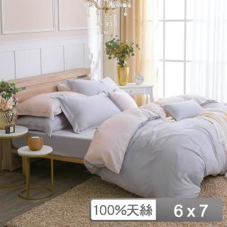 【HongYew 鴻宇】300織天絲 兩用被套 -克卜勒(雙人)