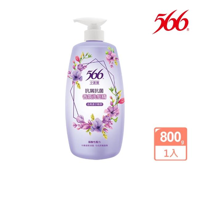 【566】抗菌香氛洗髮精800gx5(琥珀麝香/金朵茉莉保濕/白麝香潤澤/小蒼蘭抗屑/玫瑰養髮 任選)