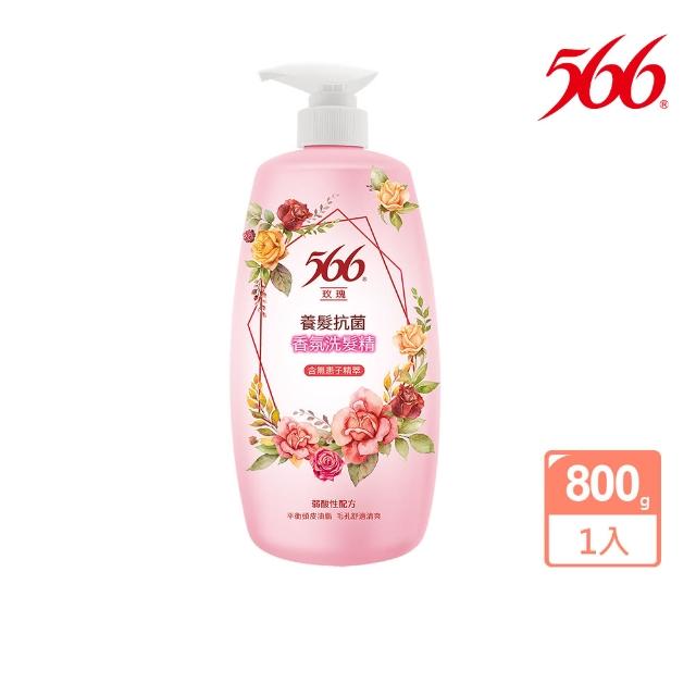 【566】抗菌香氛洗髮精800gx5(琥珀麝香/金朵茉莉保濕/白麝香潤澤/小蒼蘭抗屑/玫瑰養髮 任選)