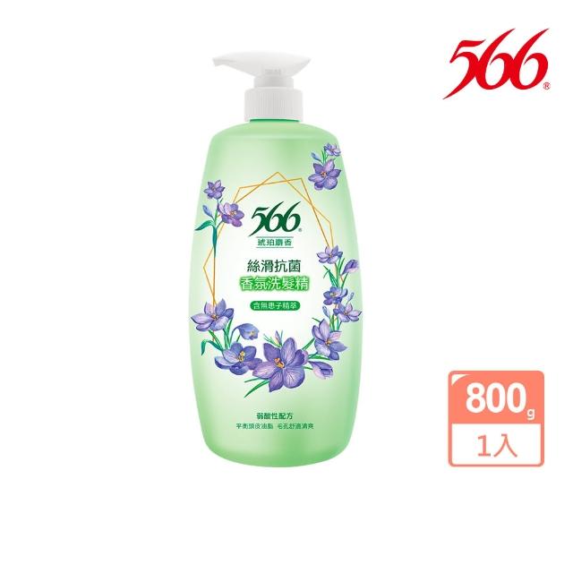 【566】抗菌香氛洗髮精800gx5(琥珀麝香/金朵茉莉保濕/白麝香潤澤/小蒼蘭抗屑/玫瑰養髮 任選)