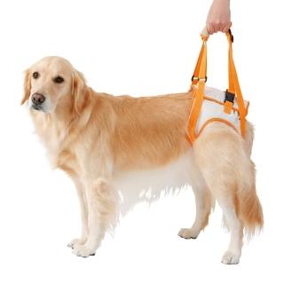 【日本PETIO】派地奧 高齡犬 輔助帶  看護 復健 輔助 狗狗步行 輔助背帶 後腳(大型犬 復健 輔助 步行)