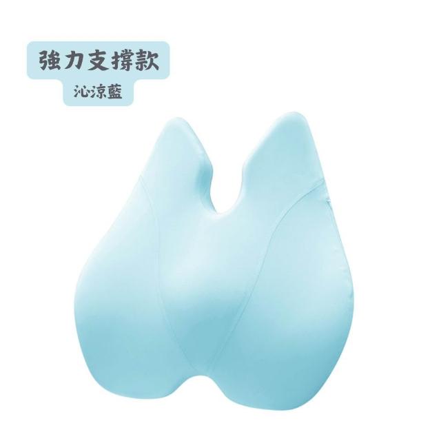 【Beroso 倍麗森】買一送一美姿護脊靠背墊-兩入組(涼感款 護腰 加倍支撐)