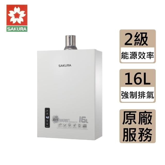 【SAKURA 櫻花】DH-1633E 四季溫恆溫強制排氣熱水器 不含安裝(16L)