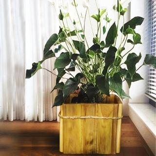 【吉迪市柚木家具】柚木簡約造型花桶 LT-090B(置物桶 收納桶 垃圾桶)