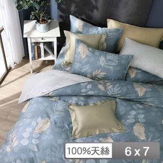 【HongYew 鴻宇】100%萊賽爾天絲 薄被套-布藍達(雙人)