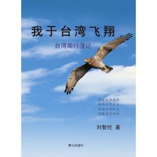 我於臺灣飛翔：臺灣周行漫記（語言：簡體中文）