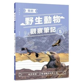 我的野生動物觀察筆記5：曲折崎嶇！王者金鵰的成長之路