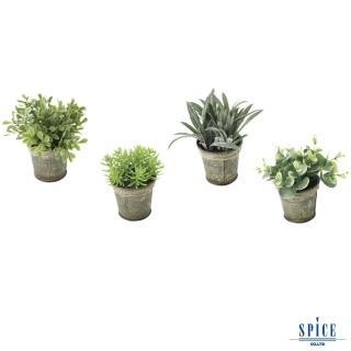 【SPICE】日本雜貨 仿舊白鐵皮盆栽人造綠色植物-4種組(裝飾 擺飾 假花 假盆栽 假植物)