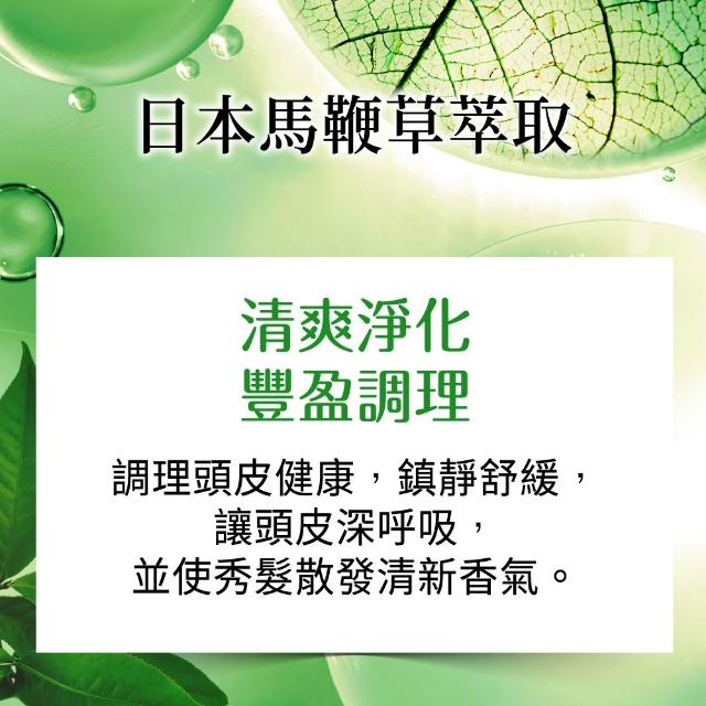【美吾髮】草本主義洗髮精540ml(馬鞭草/咖啡因/金盞花/洋甘菊/何首烏/檸檬草/平衡淨化/涼感)
