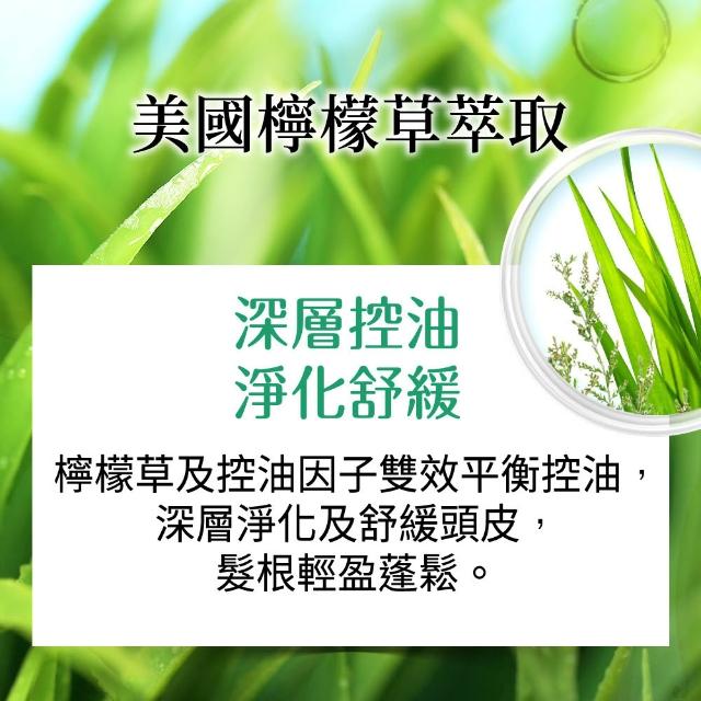 【美吾髮】草本主義洗髮精540ml(馬鞭草/咖啡因/金盞花/洋甘菊/何首烏/檸檬草/平衡淨化/涼感)