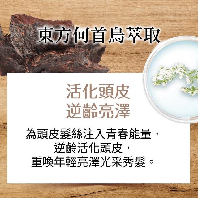 【美吾髮】草本主義洗髮精540ml(馬鞭草/咖啡因/金盞花/洋甘菊/何首烏/檸檬草/平衡淨化/涼感)