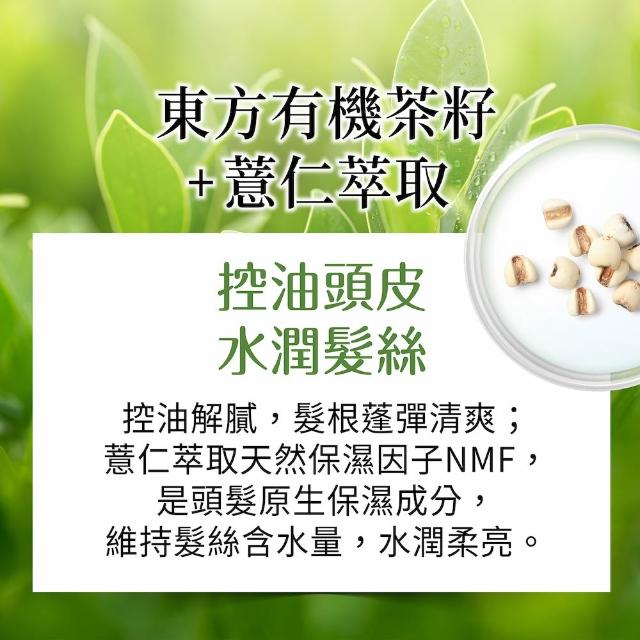【美吾髮】草本主義洗髮精540ml(馬鞭草/咖啡因/金盞花/洋甘菊/何首烏/檸檬草/平衡淨化/涼感)