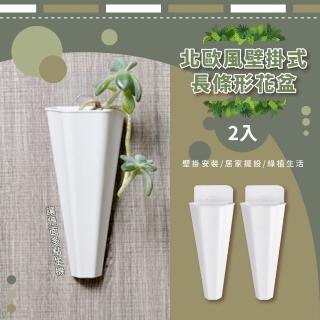 【園藝用品】北歐風壁掛式長條形花盆2入(植物佈置 居家 客廳 浴室 園藝 裝飾 盆栽 花器)