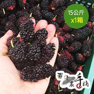 【老農手摘】天然野生桑葚果-產地直銷(15公斤x1箱-散裝)
