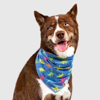 【CANADA POOCH】輕量印花領巾-恐龍(寵物配件-CANADA POOCH-Bandana  -Dinosaur)
