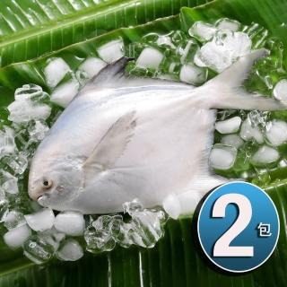 【華得水產】鮮嫩野生巨無霸特大白鯧魚2尾組(720-800G/尾 春節照常出貨)