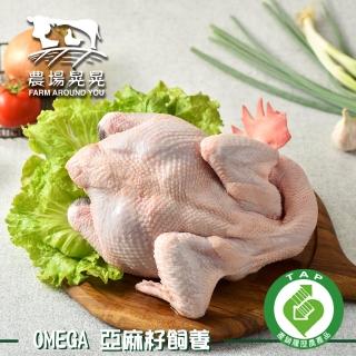 【農場晃晃 FARM AROUND YOU】放養福氣貴雞公土雞全雞(2.1-2.3kg)