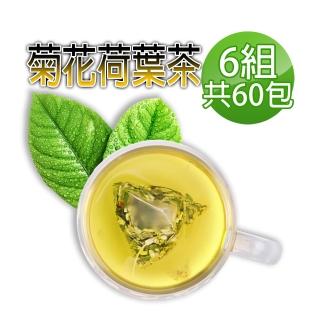 【蔘大王】台灣菊花荷葉降降茶包6gx10包x6袋(3D立體茶包;無咖啡因無茶鹼)