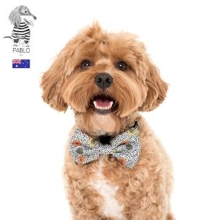 【Pablo & Co】寵物領結 南法向日葵