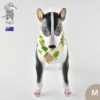 【Pablo & Co】寵物領巾 綠洲仙人掌 M