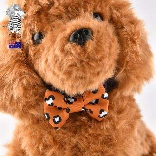 【Pablo & Co】貓咪領結 寵物領結 橘色花豹