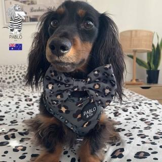 【Pablo & Co】寵物領結 荒野花豹