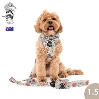 【Pablo & Co】牽繩 寵物牽繩 狗牽繩 南法向日葵 1.5cm