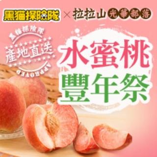 【黑貓探險隊X光華部落】拉拉山水蜜桃8粒(2.5斤/盒)