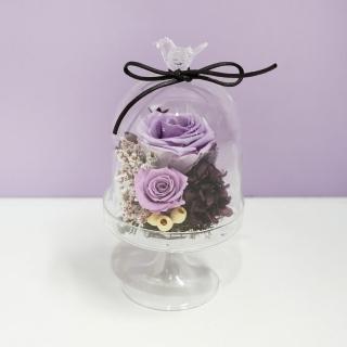 【CNFlower 西恩】甜蜜星空-紫色系 恆星花禮(送禮/買花/恆星花/花禮)