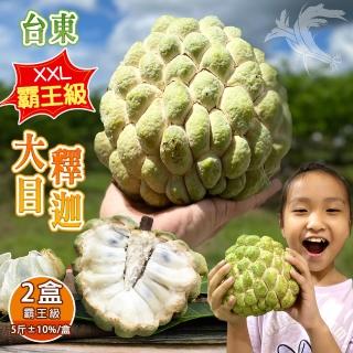【禾鴻】台東頂級XXL霸王級大目釋迦5斤4-5顆含箱重x2盒(水果界的綠寶石)