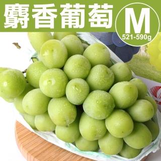 【甜露露-中秋禮盒】日本麝香葡萄M(521-590g/串)