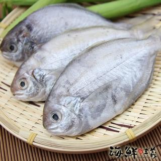 【海鮮主義】布袋鮮撈肉質魚5包(480g±10%/包 約5-6尾/包)