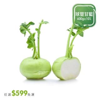 【菜霸子】任選-滿599元出貨(球莖甘藍600g  / 顆廠商直送)