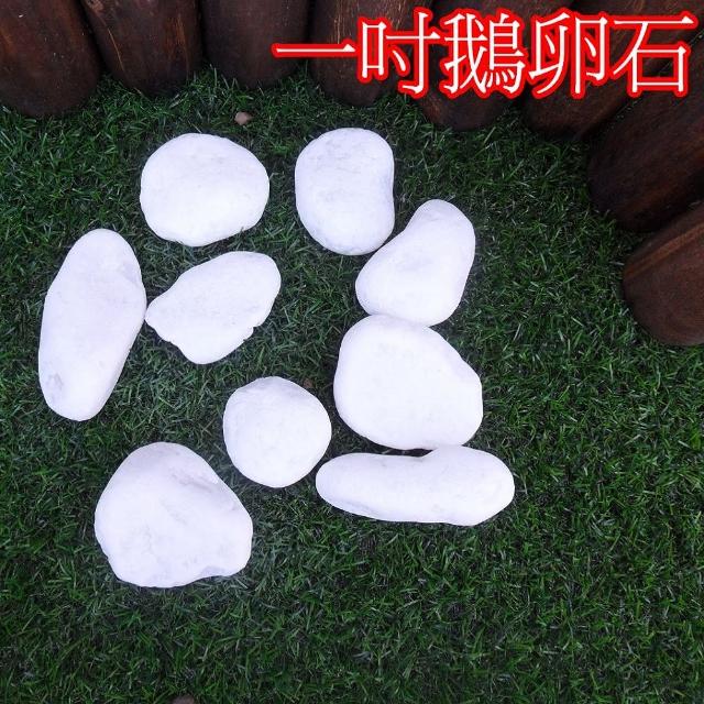 【園藝世界】白色鵝卵石-20公斤裝(陽台造景鵝卵石)