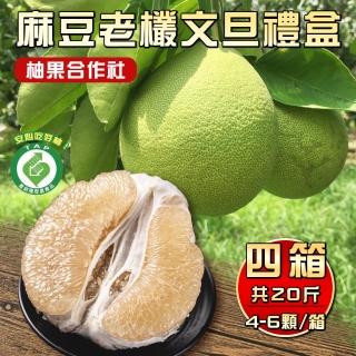 【柚果合作社-中秋禮盒】產銷履歷認證麻豆40年老欉文旦禮盒5斤4-6顆x4箱(產履認證老欉文旦自用送禮兩相宜)