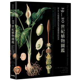 19~20世紀植物圖鑑：從200多幅植物剖析掛畫認識植物學的世界