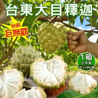 【禾鴻】台東頂級巨無霸大目釋迦10斤10-12顆含箱重x1箱(水果界的綠寶石)