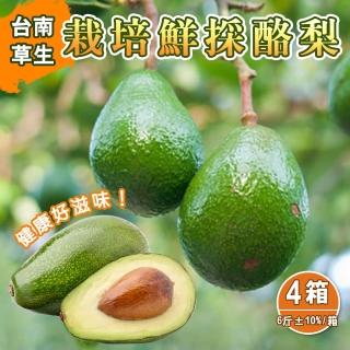【產地直送】台南草生栽培鮮採酪梨6斤9-12顆x4箱(金氏世界紀錄最營養水果-酪梨)