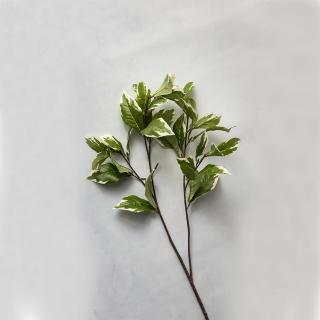 【花意空間】綠白小海桐葉 3支一組(仿真植物 人造盆栽)